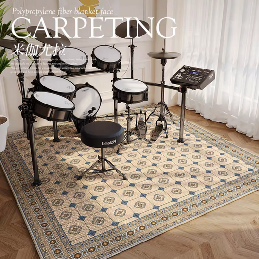 European Modern Art Square Carpet Drum Kit Area Studio Room Decoration Rugs (SD005)